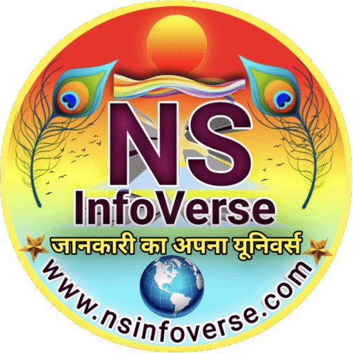 NS InfoVerse